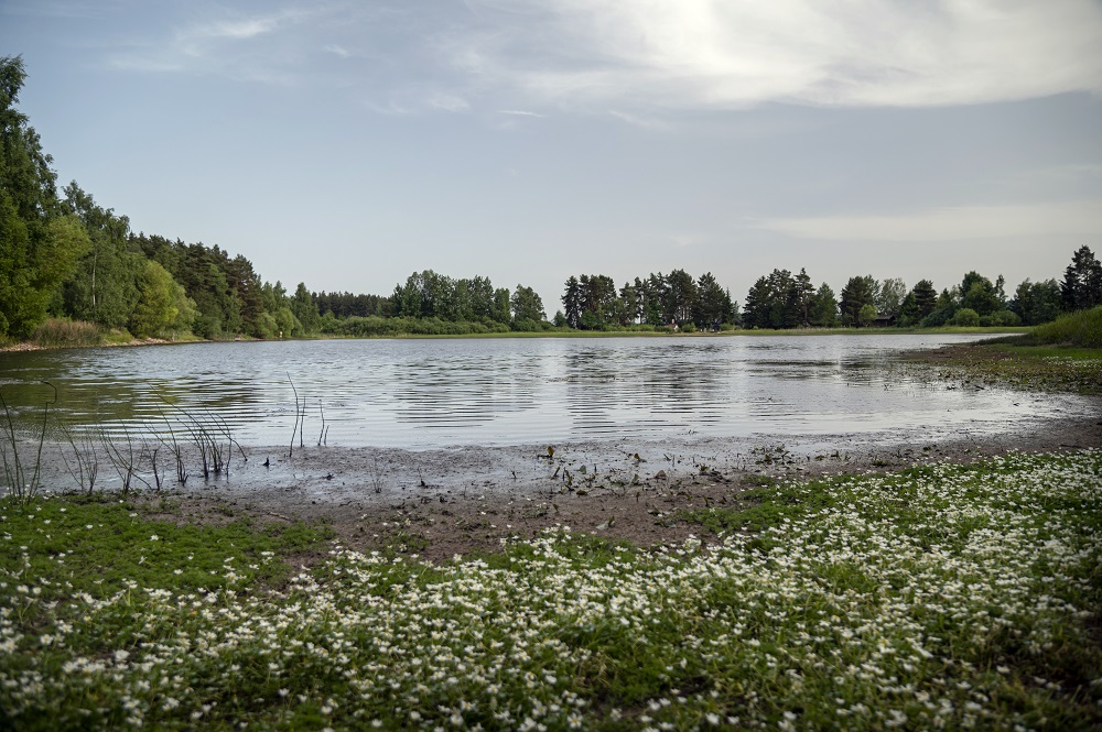 Buč příroda