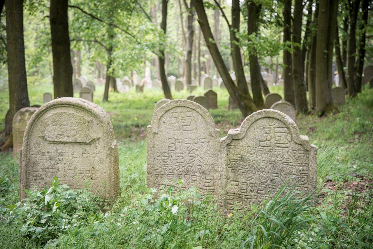 VSERUBY židovský hřbitov 7753